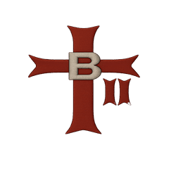 2 Troop, B Squadron insignia