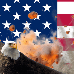 Liberty Corps Defense Solutions insignia