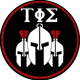 Task Force Spartan insignia