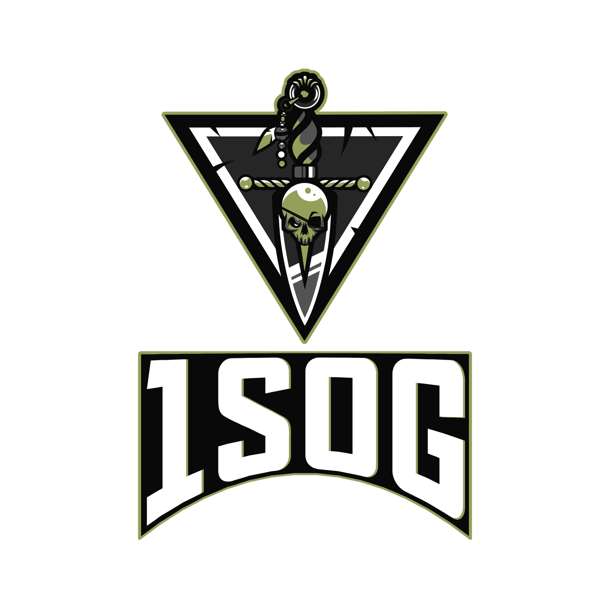 1SOG - 1st Special Operations Group insignia