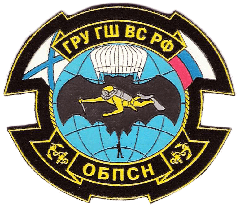 181st Special Reconnaissance Division insignia