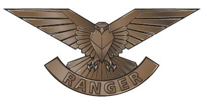 UK 4 Ranger Regiment insignia