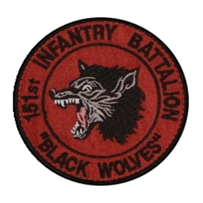 Task Force 151 "Black Wolves" insignia