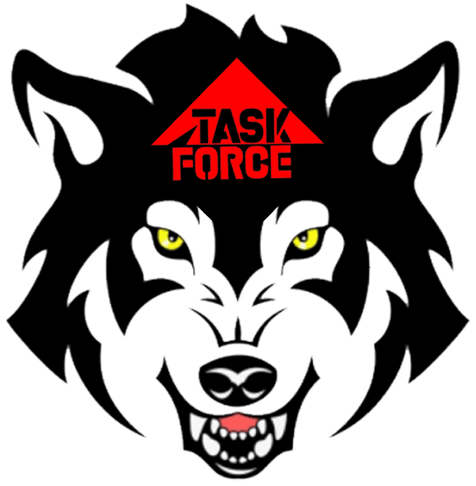 Task Force Mercenaries insignia