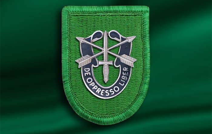 E/2/10th SFG insignia