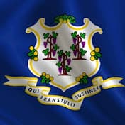 The 8th Connecticut insignia