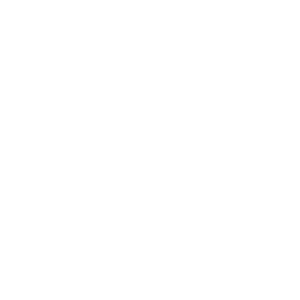 8 Troop, B Squadron, UKSF insignia