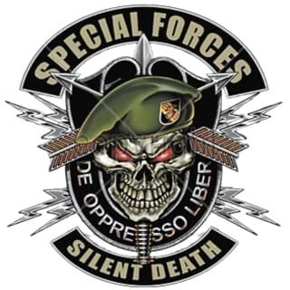 Task Force Demon insignia