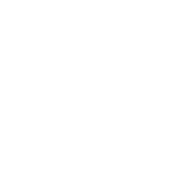 10th Milsim insignia