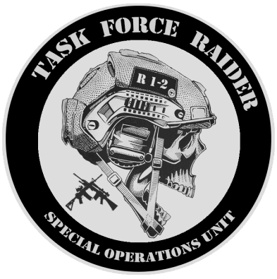 Task Force Raider insignia
