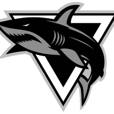 Tactical Operations Incorporated insignia