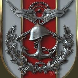 TÜRK-5 Dağ Komando Tugayı-BONES APLHA GRUP*TMT TURKISH MOD TEAM insignia