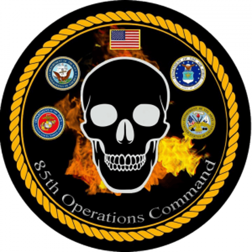 85th Operations Command insignia