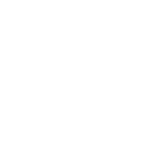 A COY | SBS | SFSG | UK MILSIM insignia