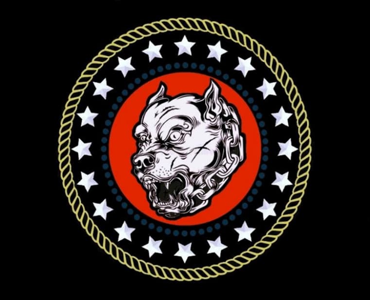 Devil Dogs Realism Unit insignia