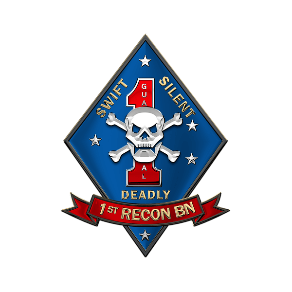 1st Reconnaissance Battalion - Realism Unit insignia
