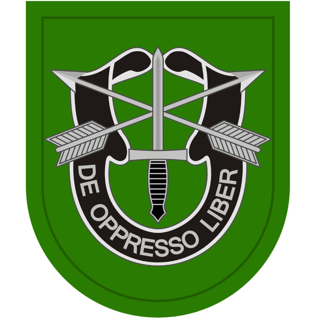 C Co, 2nd BN, 10th SFG(A) insignia