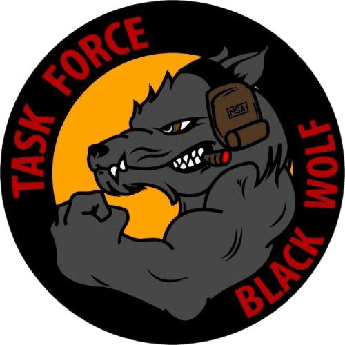 TASK FORCE BLACK WOLF insignia