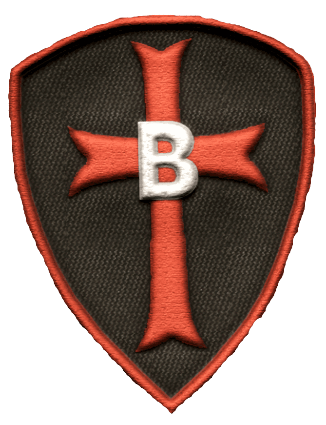 B Squadron insignia