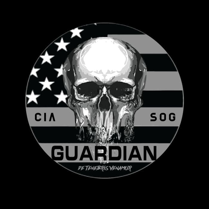 Task Force Guardian insignia