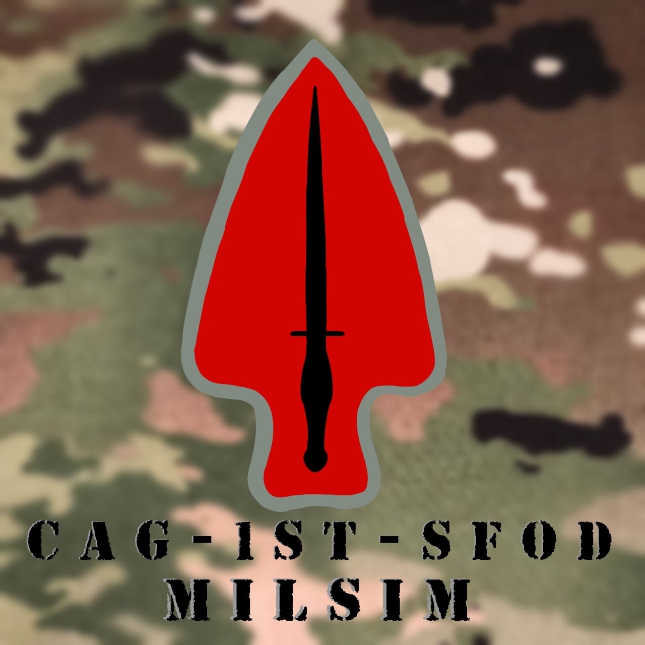 CAG1stSFOD insignia