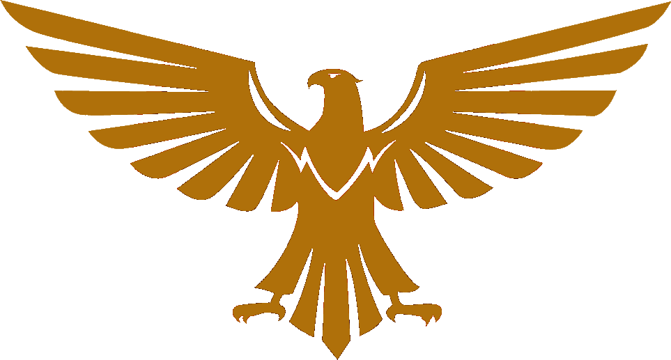 212th Falcon Company insignia