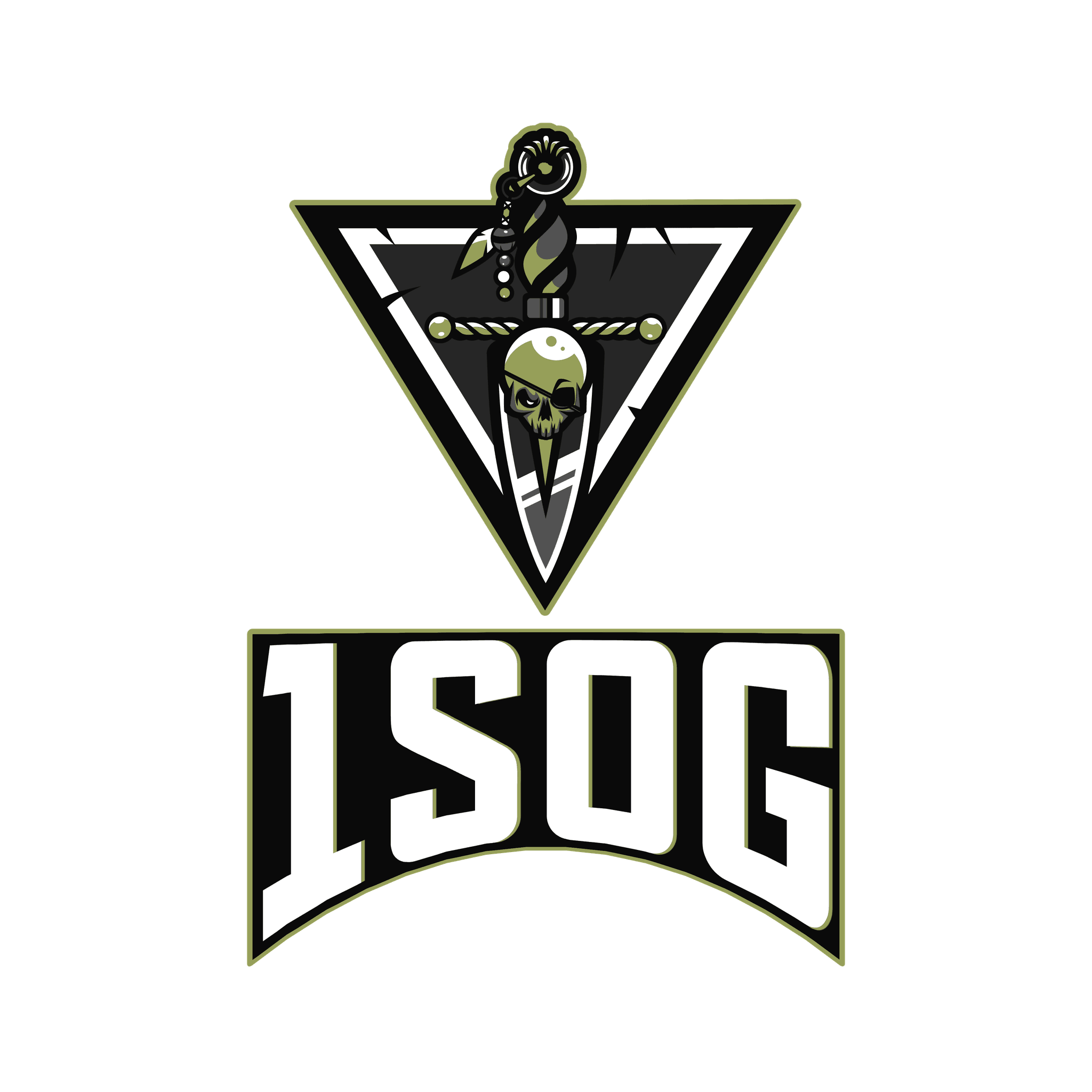 1SOG - 1st Special Operations Group insignia
