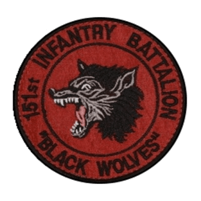 Task Force 151 "Black Wolves" insignia