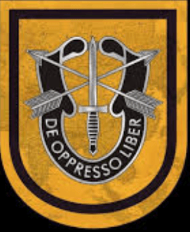 1st Special Forces Group insignia