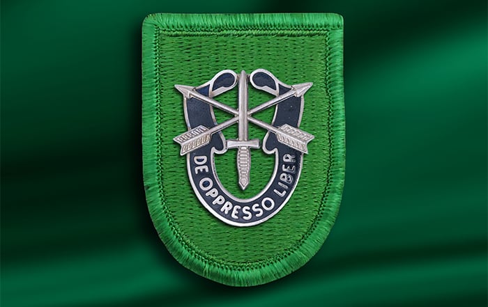 E/2/10th SFG insignia