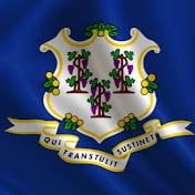 The 8th Connecticut insignia