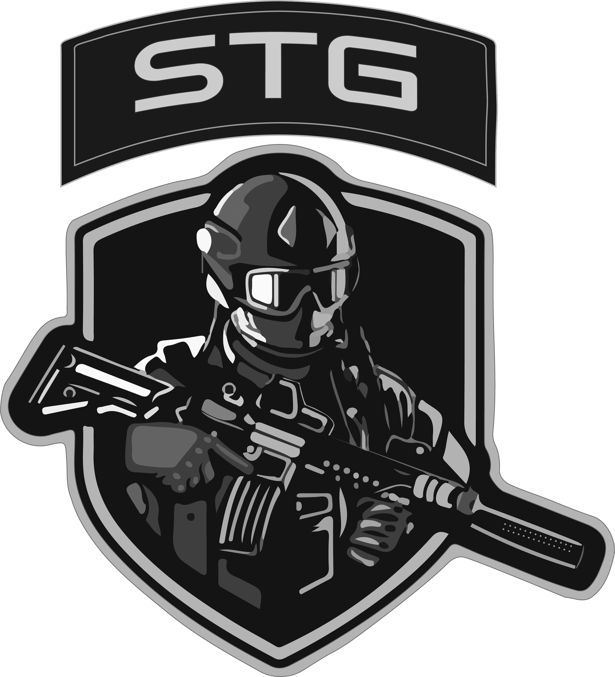 Special Tactics Group insignia