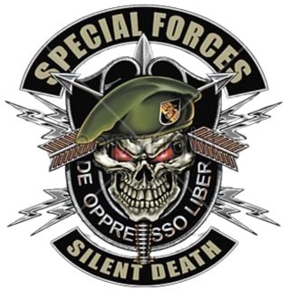 Task Force Demon insignia