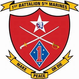 Havoc Regiment 1st Battalion 5th Marines  insignia