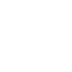 RDF Royal Danish Forces insignia