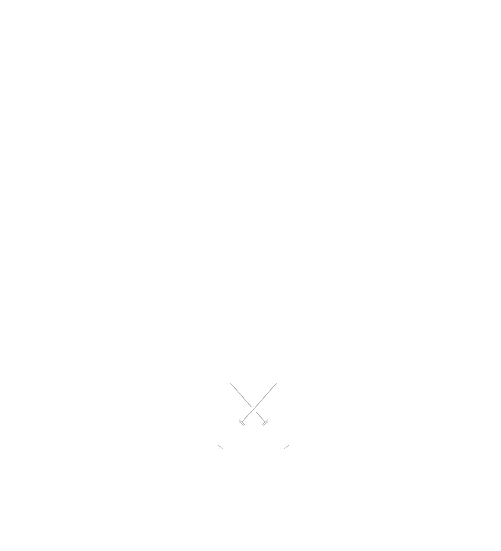 Task Force Chaos insignia