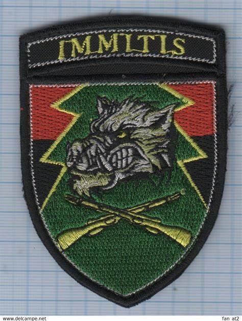 A3OB 12Th Special Operations Brigade insignia