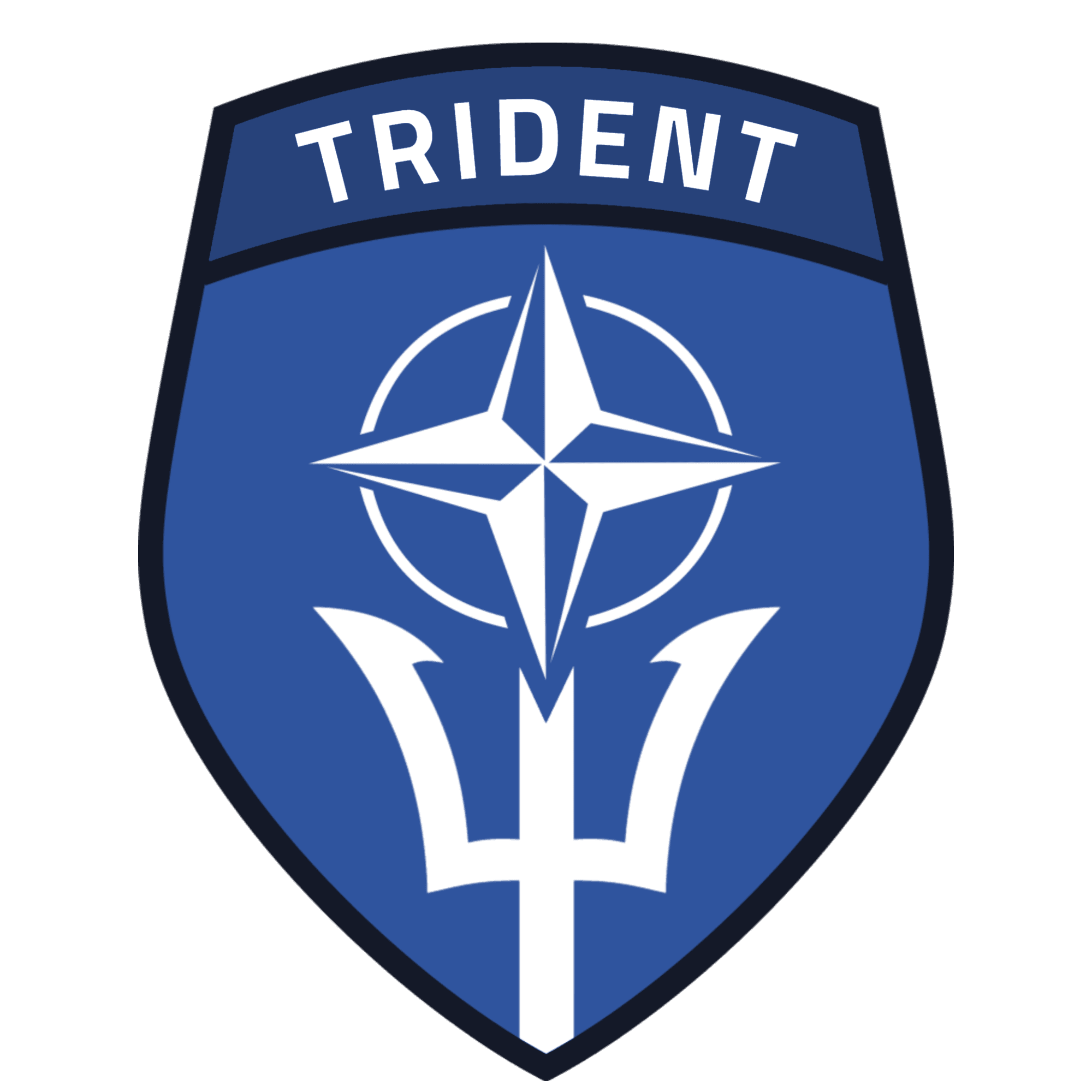 1st Rapid Response Force "Trident" Company insignia