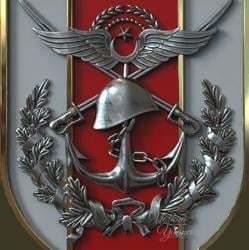 TÜRK-5 Dağ Komando Tugayı-BONES APLHA GRUP*TMT TURKISH MOD TEAM insignia