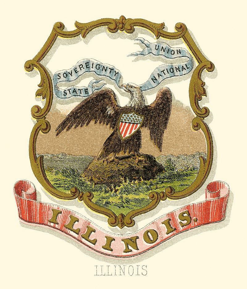 65th Illinois insignia