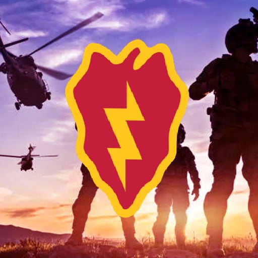 25th Virtual Infantry Division insignia