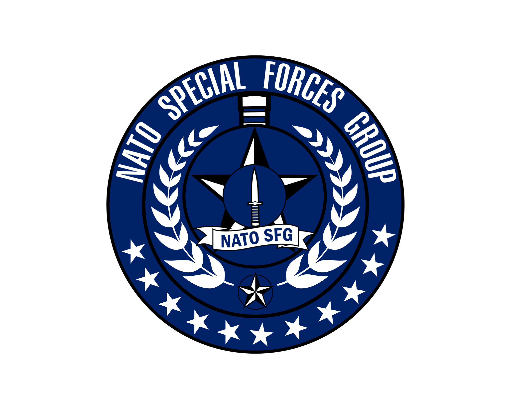 1. Nato SFG insignia