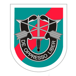 20th Special Forces Group (NG) insignia