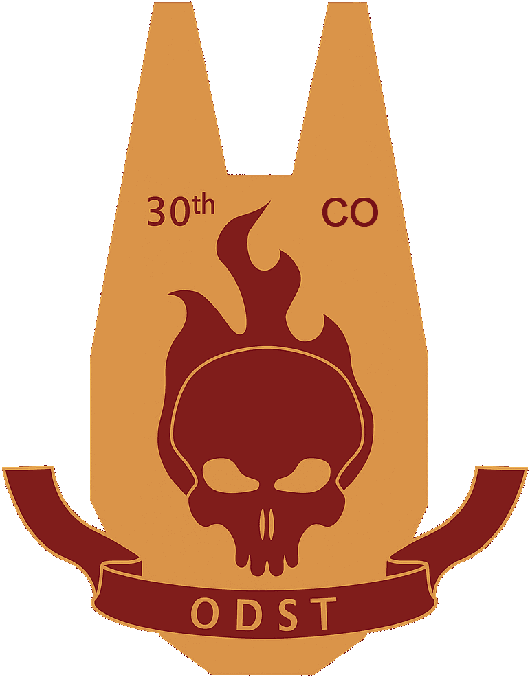 30TH Shock Troops Company insignia