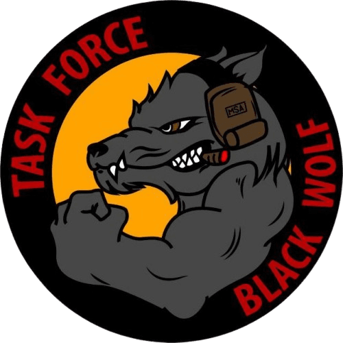 TASK FORCE BLACK WOLF insignia