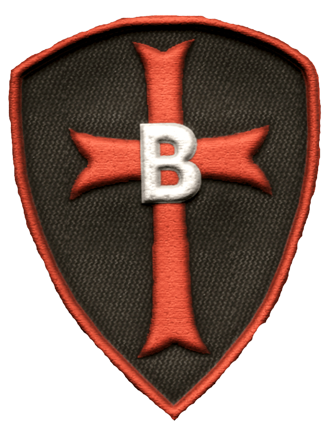 B Squadron insignia