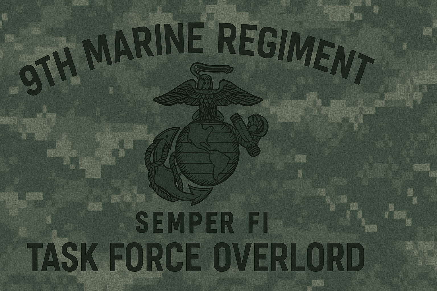 9TH Marine Regiment banner