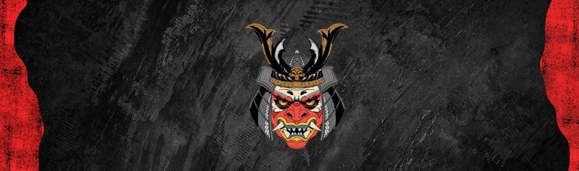 Task Force Rakkasan banner