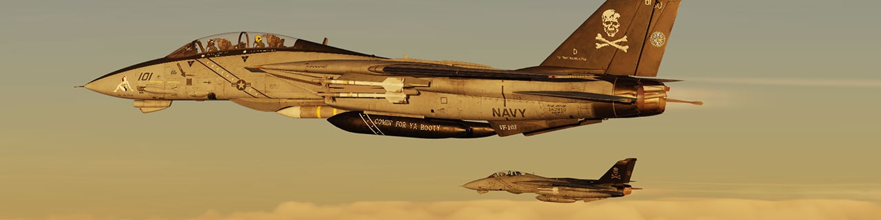 VF-103 of vCSG-3 banner