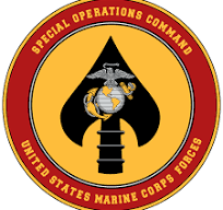 MARSOC banner